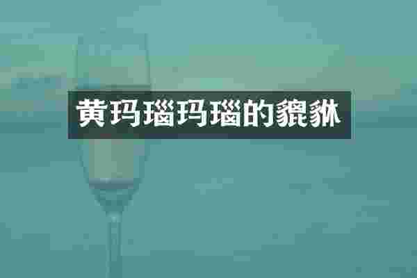 黄玛瑙玛瑙的貔貅