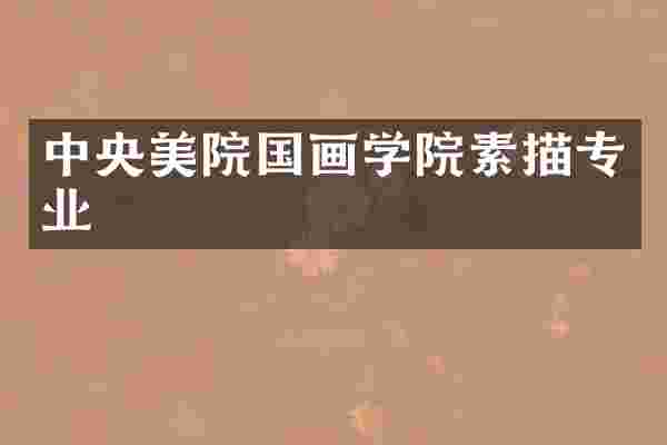 中央美院国画学院素描专业