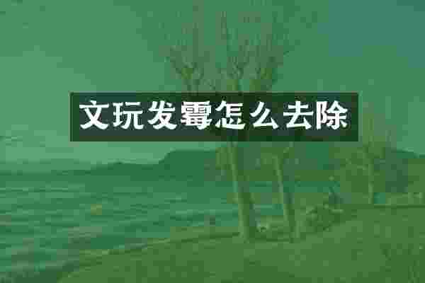 文玩发霉怎么去除