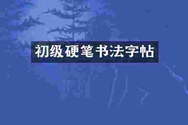 初级硬笔书法字帖