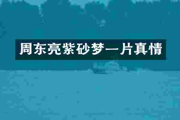 周东亮紫砂梦一片真情