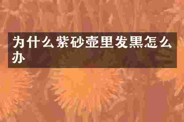 为什么紫砂壶里发黑怎么办