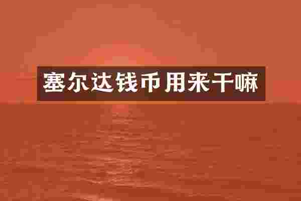 塞尔达钱币用来干嘛