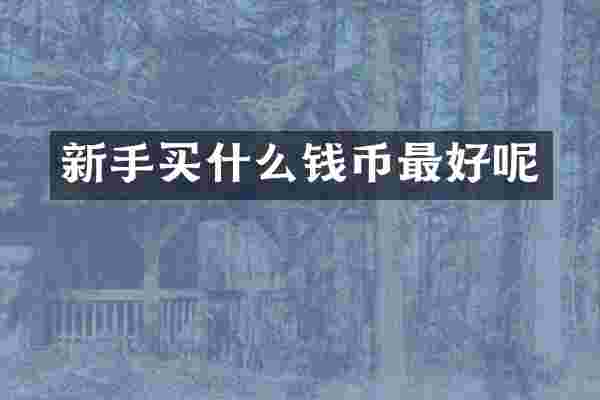 新手买什么钱币最好呢