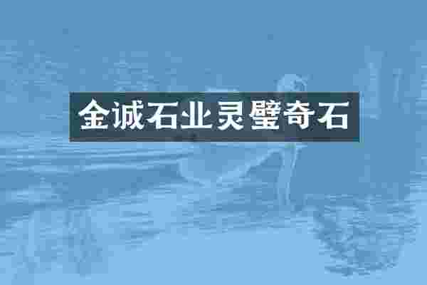 金诚石业灵璧奇石