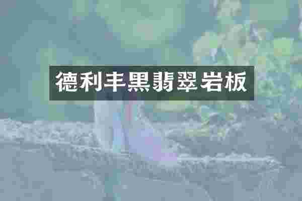 德利丰黑翡翠岩板