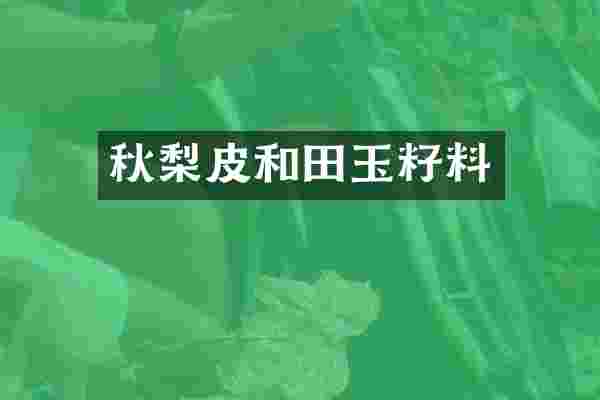 秋梨皮和田玉籽料