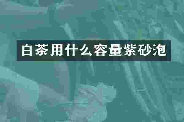 白茶用什么容量紫砂泡