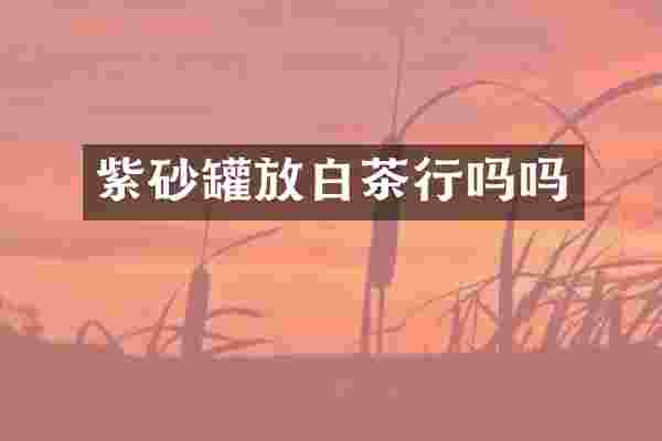 紫砂罐放白茶行吗吗