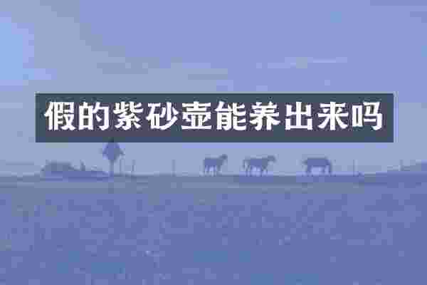 假的紫砂壶能养出来吗