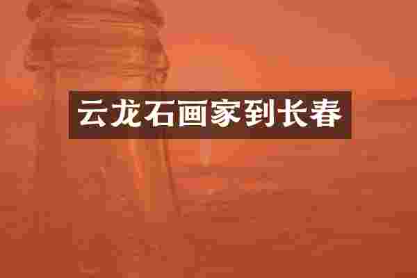 云龙石画家到长春