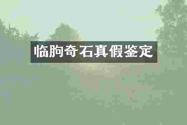 临朐奇石真假鉴定