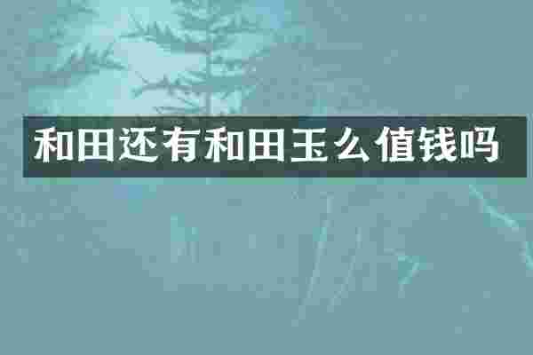 和田还有和田玉么值钱吗