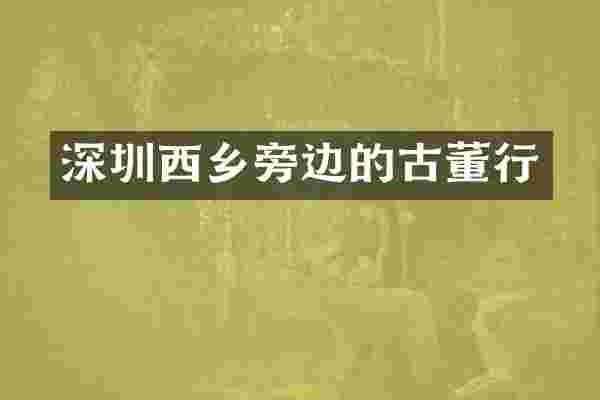 深圳西乡旁边的古董行