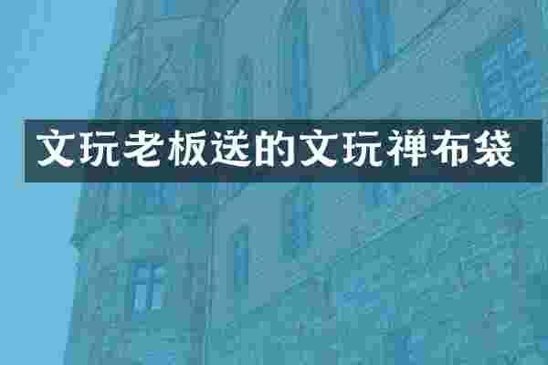 文玩老板送的文玩禅布袋