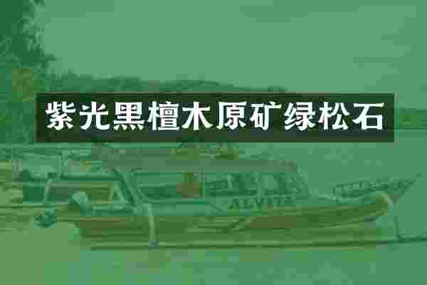 紫光黑檀木原矿绿松石