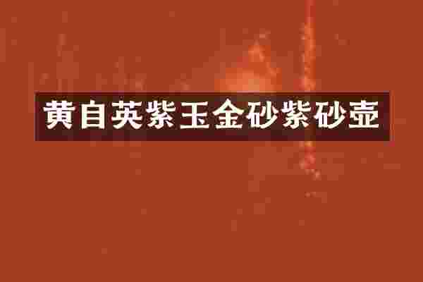 黄自英紫玉金砂紫砂壶