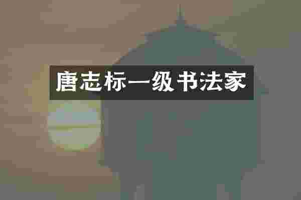 唐志标一级书法家