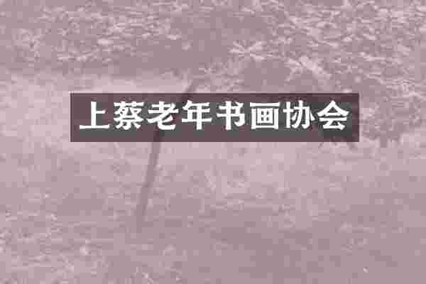 上蔡老年书画协会
