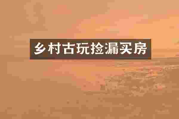 乡村古玩捡漏买房