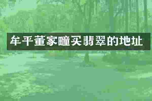 牟平董家疃买翡翠的地址