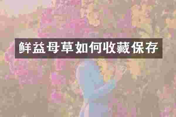 鲜益母草如何收藏保存