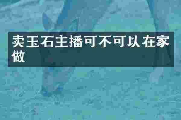 卖玉石主播可不可以在家做