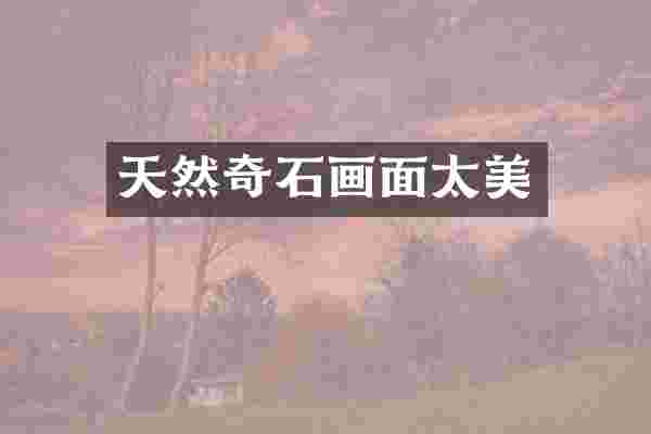 天然奇石画面太美