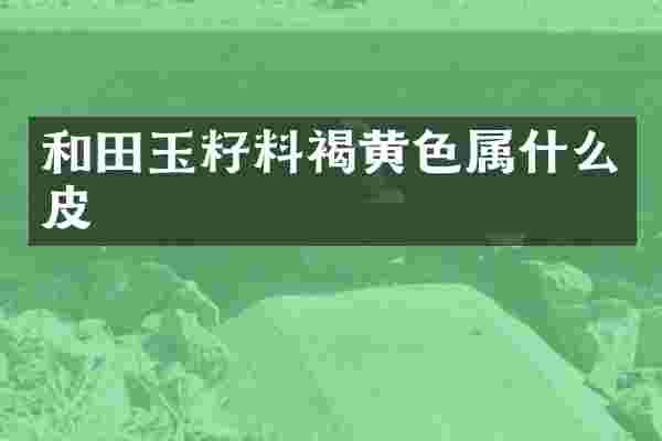 和田玉籽料褐黄色皮