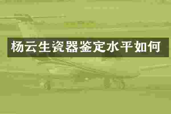 杨云生瓷器鉴定水平如何