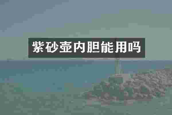 紫砂壶内胆能用吗