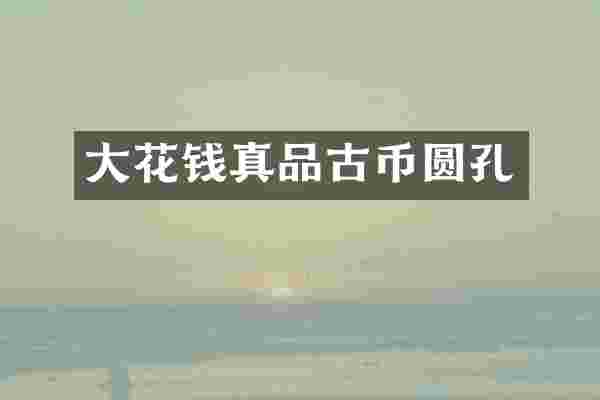 大花钱真品古币圆孔