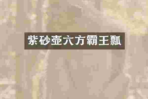 紫砂壶六方霸王瓢