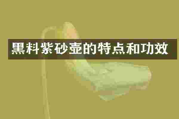 黑料紫砂壶的特点和功效