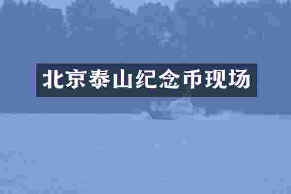 北京泰山纪念币现场