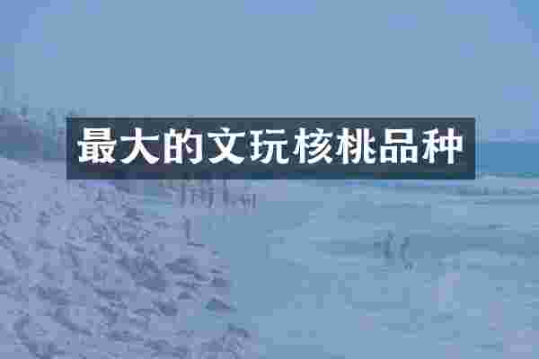 最大的文玩核桃品种