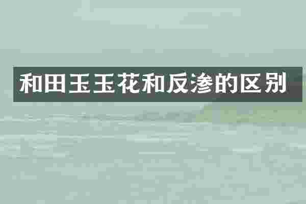 和田玉玉花和反渗的区别
