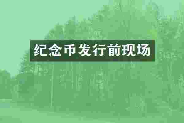 纪念币发行前现场