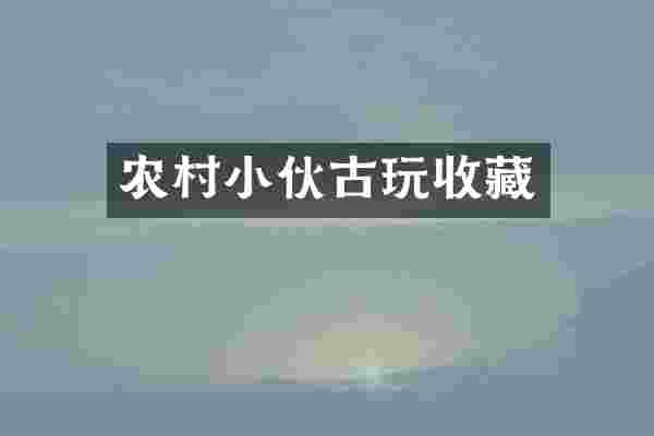 农村小伙古玩收藏