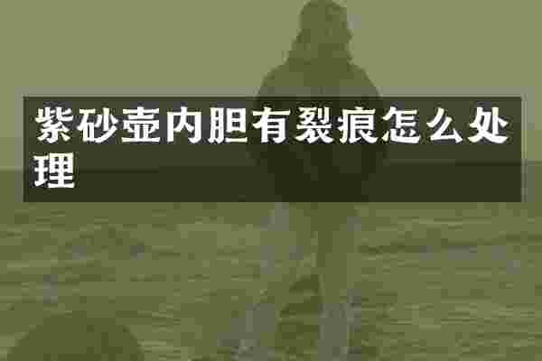 紫砂壶内胆有裂痕怎么处理