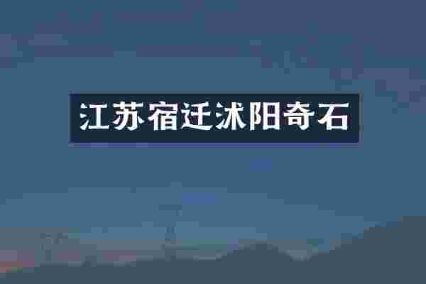 江苏宿迁沭阳奇石