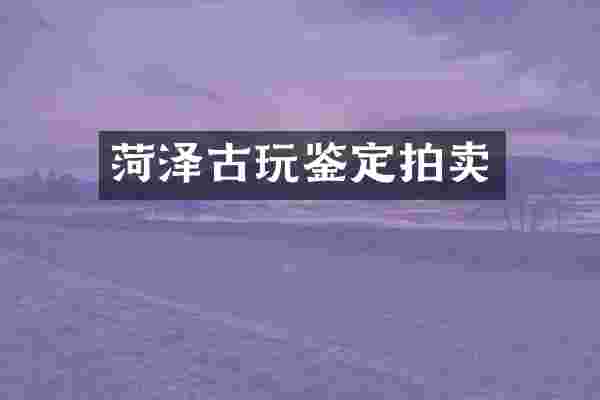 菏泽古玩鉴定拍卖
