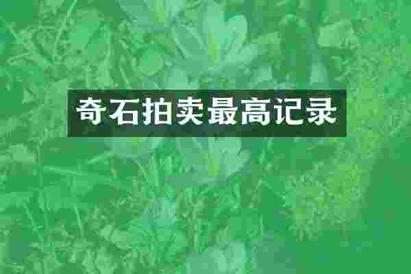 奇石拍卖最高记录