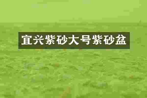 宜兴紫砂大号紫砂盆