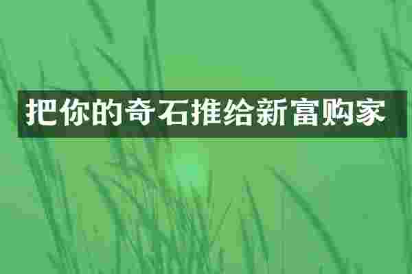 把你的奇石推给新富购家
