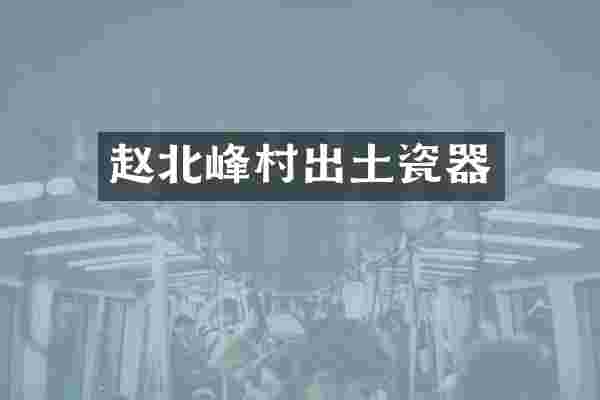 赵北峰村出土瓷器