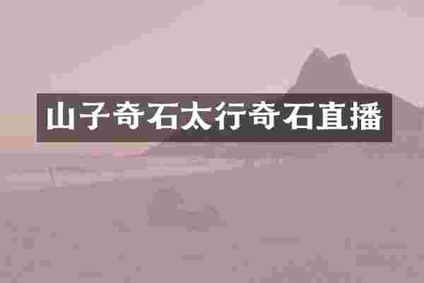 山子奇石太行奇石直播