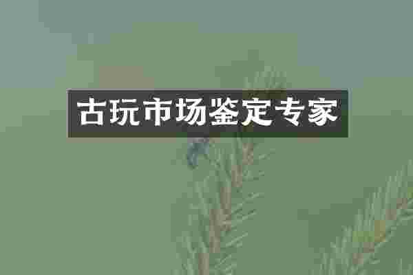 古玩市场鉴定专家