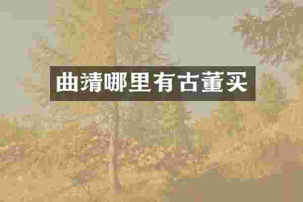 曲靖哪里有古董买