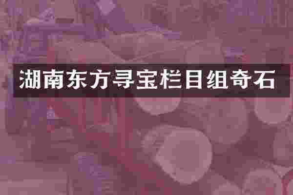 湖南东方寻宝栏目组奇石